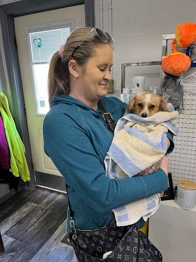 Cabin Critters Rescue