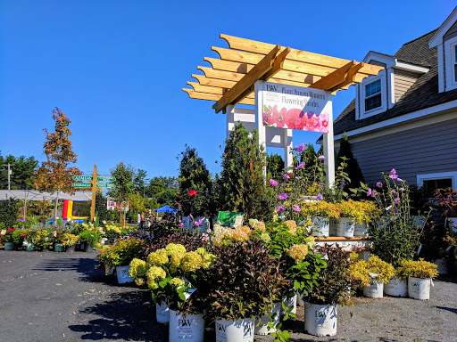 Seoane's Garden Center