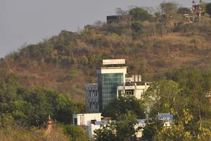 Satyam Palace image