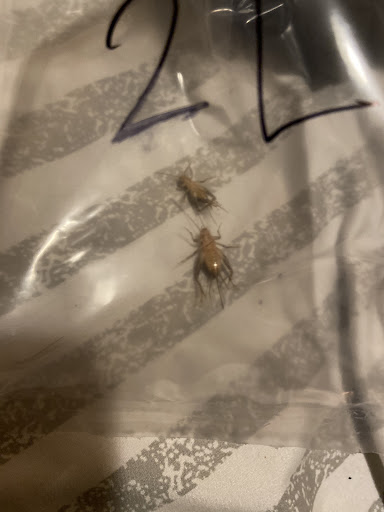 Pet Store «Rockstar Pets», reviews and photos, 215 N Main St, Tooele, UT 84074, USA