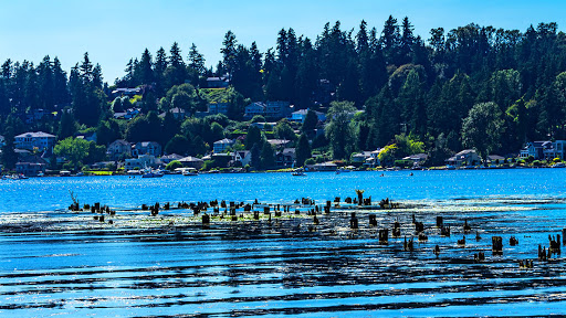 Real Estate Agency «Coldwell Banker Bain of Kirkland», reviews and photos, 8525 120th Ave NE #100, Kirkland, WA 98033, USA