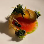 Photo n°2 de l'avis de Giancarlo.o fait le 11/11/2022 à 20:26 sur le  Locanda marchesani à Pomezia