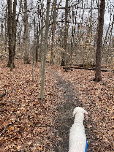 Park «Fairfax Villa Park», reviews and photos, 11399 Park Dr, Fairfax, VA 22030, USA