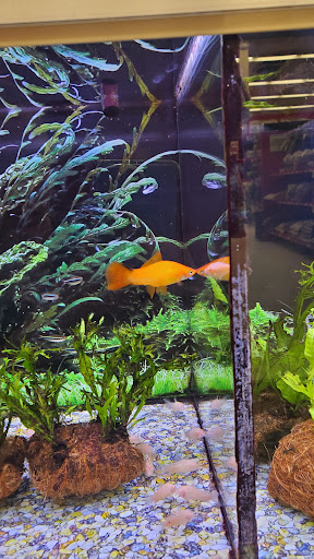 Pet Supply Store «Petco Animal Supplies», reviews and photos, 2140 E Blvd St, Kokomo, IN 46902, USA