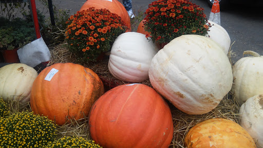 Produce Market «Hudson Farmers Market», reviews and photos, 3437 John F. Kennedy Blvd, Jersey City, NJ 07307, USA