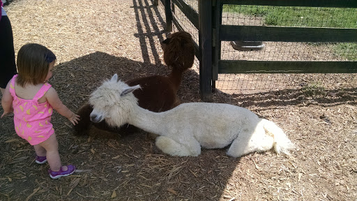 Farm «Tanglewood Farm Miniatures», reviews and photos, 171 Tanglewood Dr, Canton, GA 30115, USA