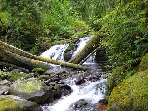 East Multnomah Soil & Water Conservation District