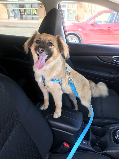 Pet Supply Store «Petco Animal Supplies», reviews and photos, 3055 N President George Bush Hwy, Garland, TX 75040, USA