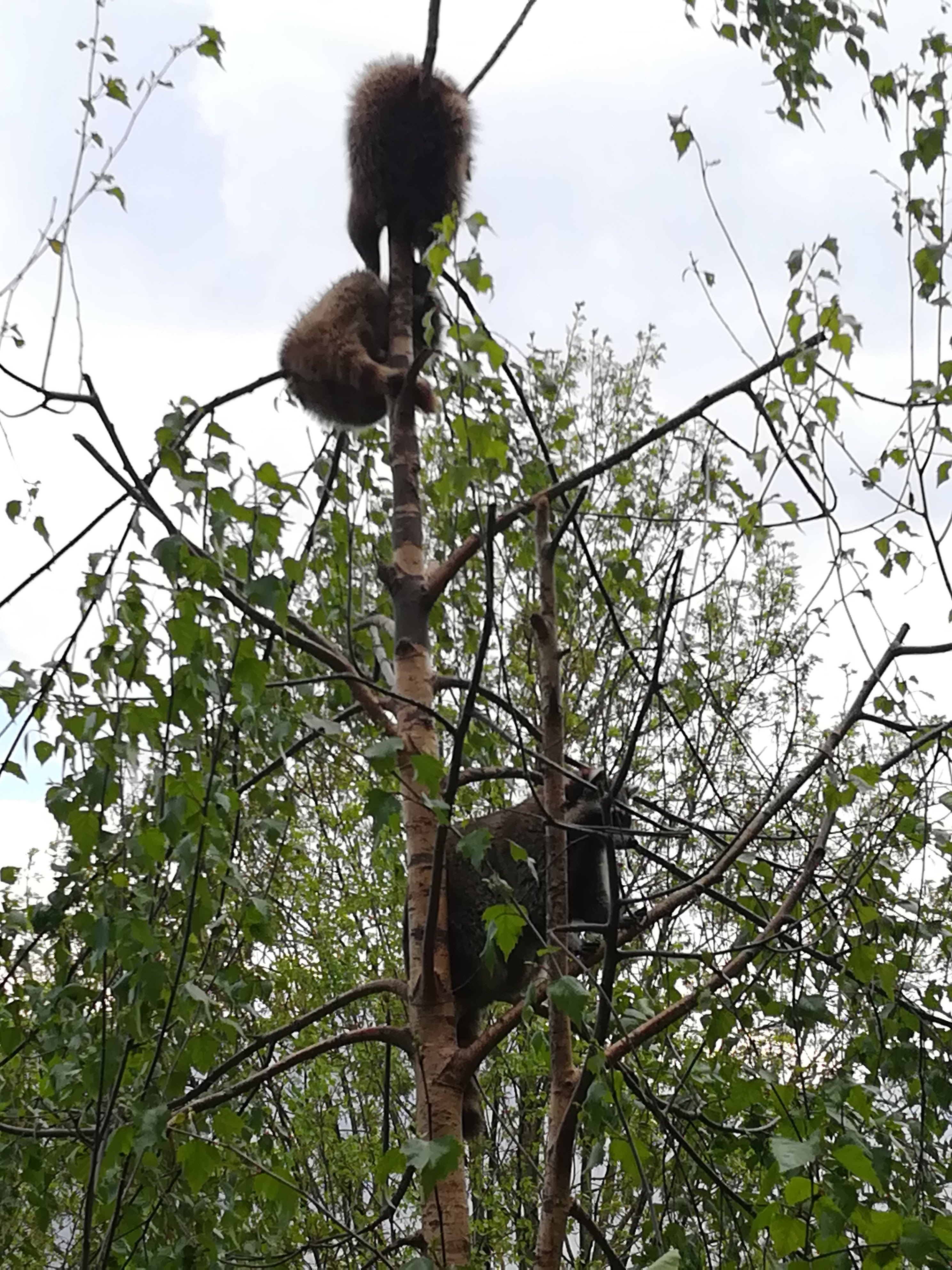 Photo n° 13 de l'avis de Sarah.L fait le 21/04/2018 à 18:44