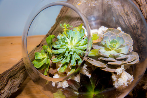 Florist «Dana Dineen Floral Design», reviews and photos, 504 N Fort Harrison Ave, Clearwater, FL 33755, USA