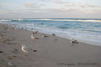 E.B.photography - Photo 4 - Car repair in , Augusta