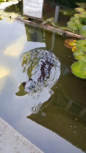 Aquarium «Cold Spring Harbor Fish Hatchery & Aquarium», reviews and photos, 1660 NY-25A, Cold Spring Harbor, NY 11724, USA