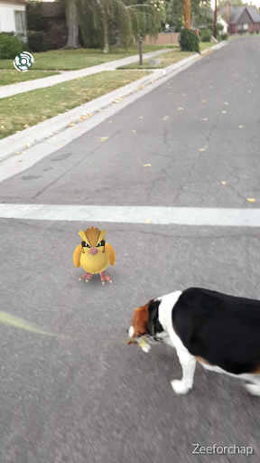 Ice Cream Shop «Simple Ice Cream Sandwiches», reviews and photos, 960 S Virginia St a, Reno, NV 89502, USA