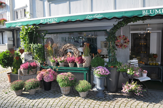 Blumen Landleben - Andrea Felber - Blumengeschäft