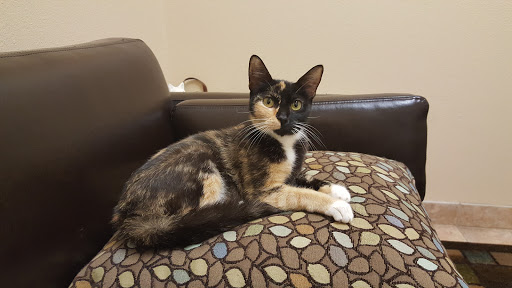 11014 Little Rd, New Port Richey, FL 34654, USA