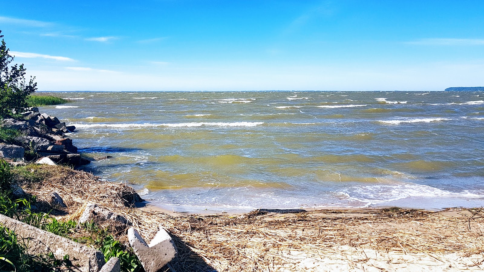 Beach Mamonovo'in fotoğrafı biraz temiz temizlik seviyesi ile