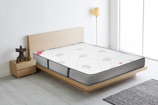 Springwel Mattress - Kirti Nagar