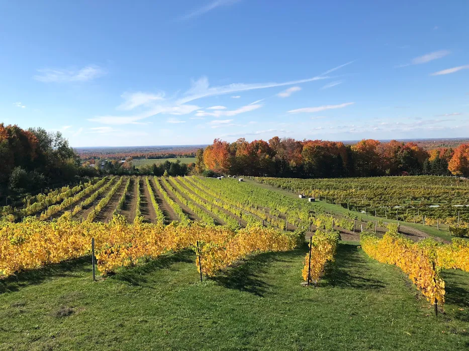 Photo of Domaine Cotes d'Ardoise - Winery & Cidery in Brome-Missisquoi Québec