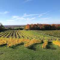 Domaine Cotes d'Ardoise - Winery & Cidery in Brome-Missisquoi, undefined - 4.40 star rating