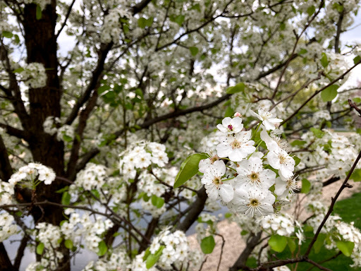 JOURNEYS | The Road Home