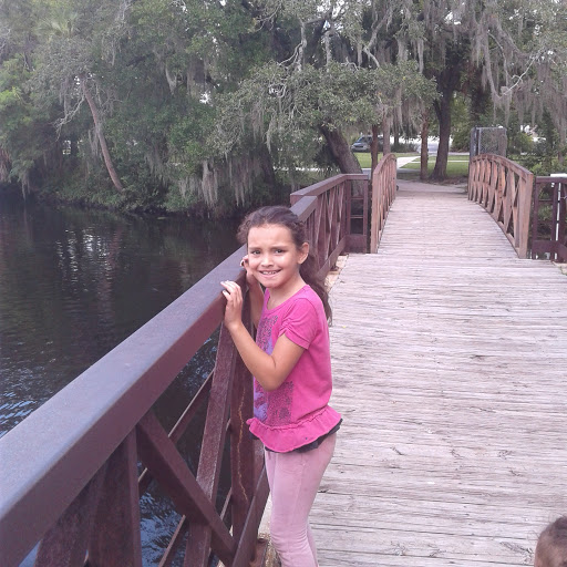 Public Swimming Pool «Sulphur Springs Pool», reviews and photos, 701 E Bird St, Tampa, FL 33604, USA