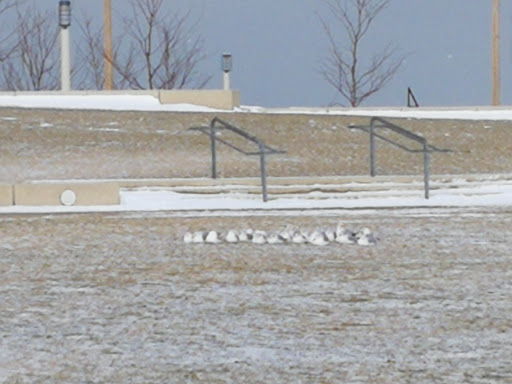 Marine Supply Store «West Marine», reviews and photos, 1577 St Clair Ave NE, Cleveland, OH 44114, USA