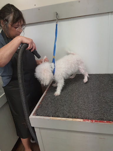 Pet Groomer «U Dirty Dog», reviews and photos, 232 Stevens Entry, Peachtree City, GA 30269, USA