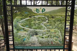 Nilgiri Biosphere Nature Park - A Botanic Garden image