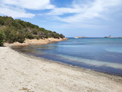Spiaggia Porto Paglia'in fotoğrafı imkanlar alanı