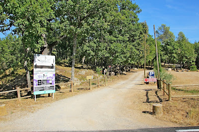 Bike Park Saint Supin à Tourves