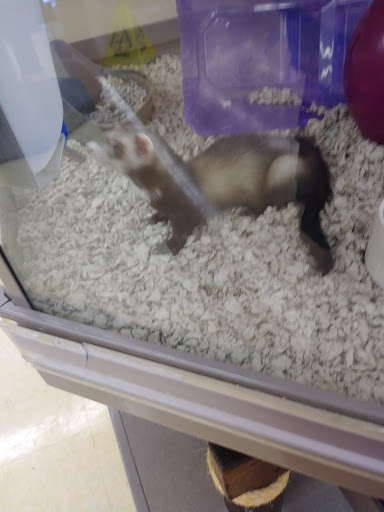 Pet Supply Store «Petco», reviews and photos, 131 N Cattlemen Rd, Sarasota, FL 34243, USA