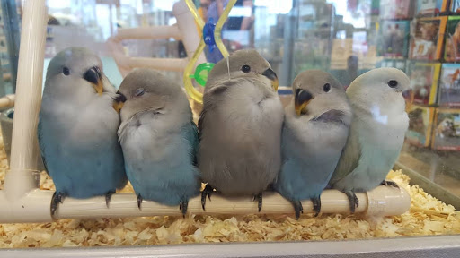 Pet Store «Friendly Pets», reviews and photos, 625 Friendly Center Rd, Greensboro, NC 27408, USA