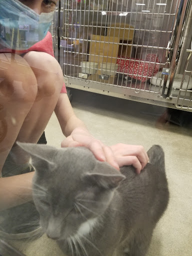 Pet Supply Store «PetSmart», reviews and photos, 10830 Olson Dr, Rancho Cordova, CA 95670, USA