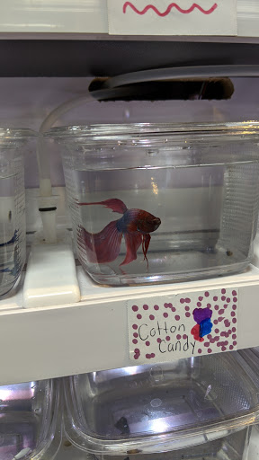 Pet Store «Pet Valu», reviews and photos, 7875 Heneska Loop, Alexandria, VA 22315, USA