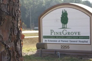 Pine Grove Behavioral Health & Addiction Services image