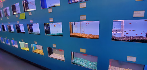 Tropical Fish Store «Monfort Aquarium & Pet», reviews and photos, 6520 Colerain Ave, Cincinnati, OH 45239, USA