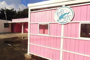 必見水潛水 Pink House Diving image