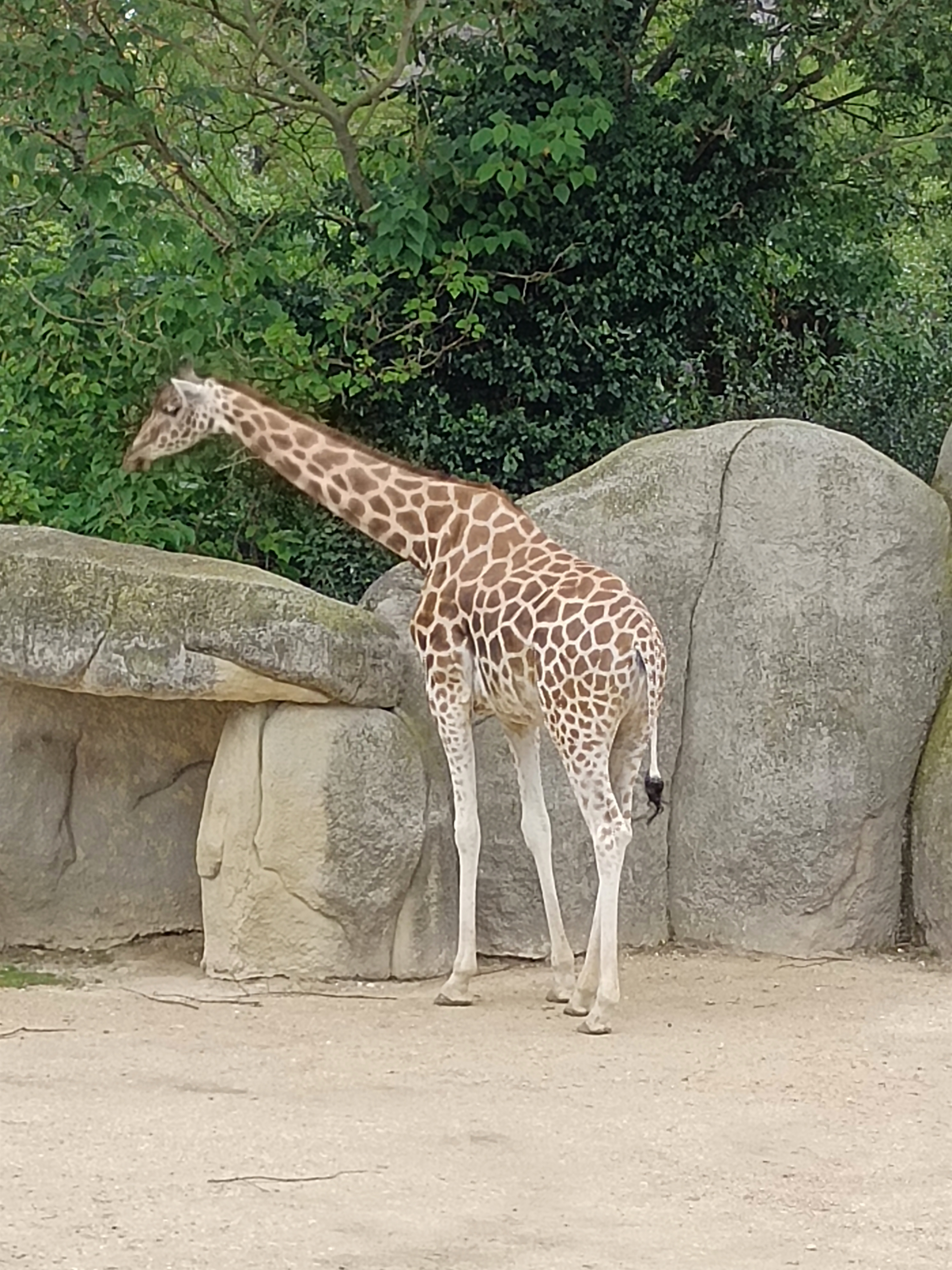 Photo n° 12 de l'avis de Suzy.a fait le 28/08/2023 à 21:34