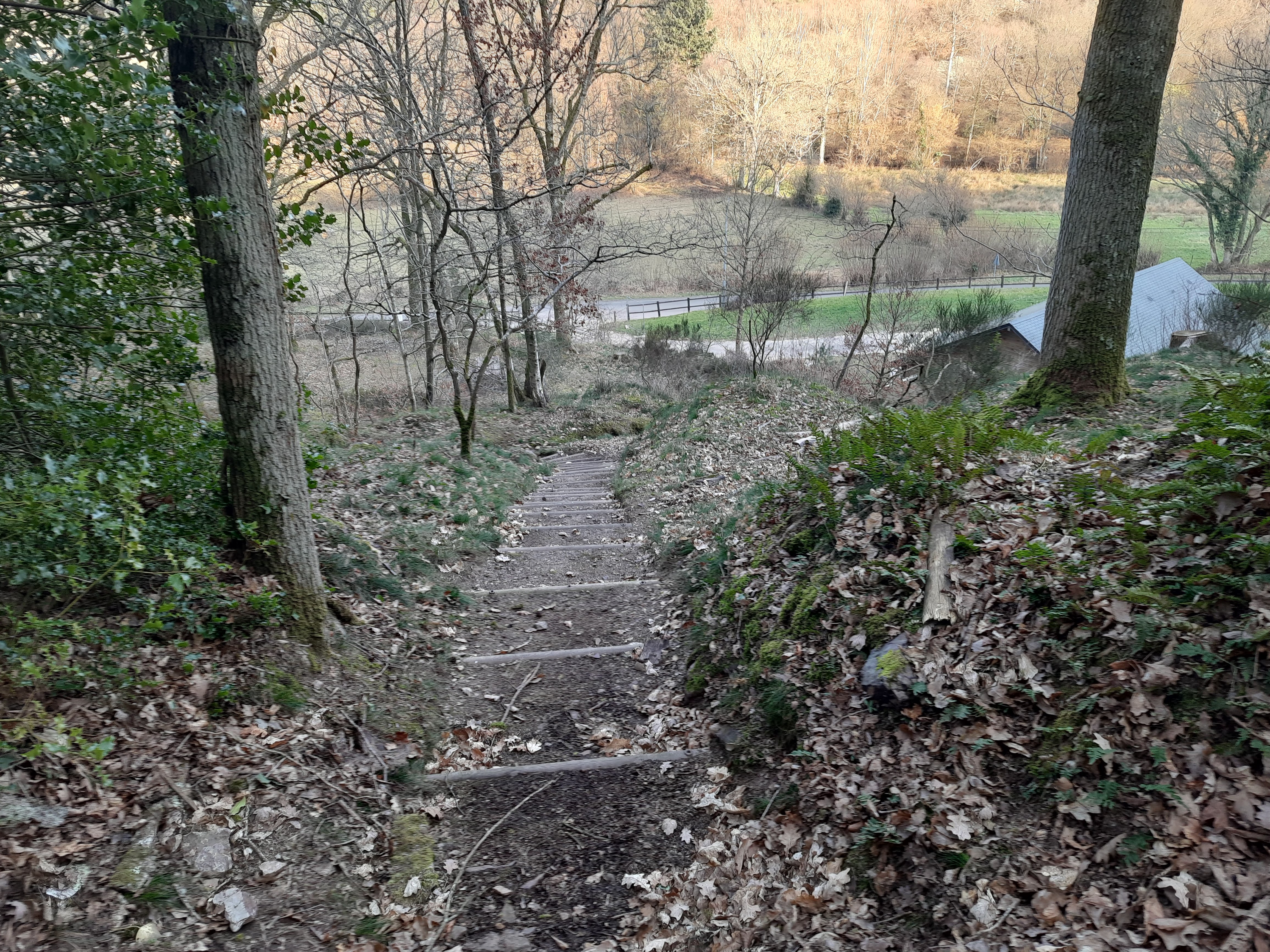 Photo n° 1 de l'avis de Florence. fait le 07/03/2023 à 21:15