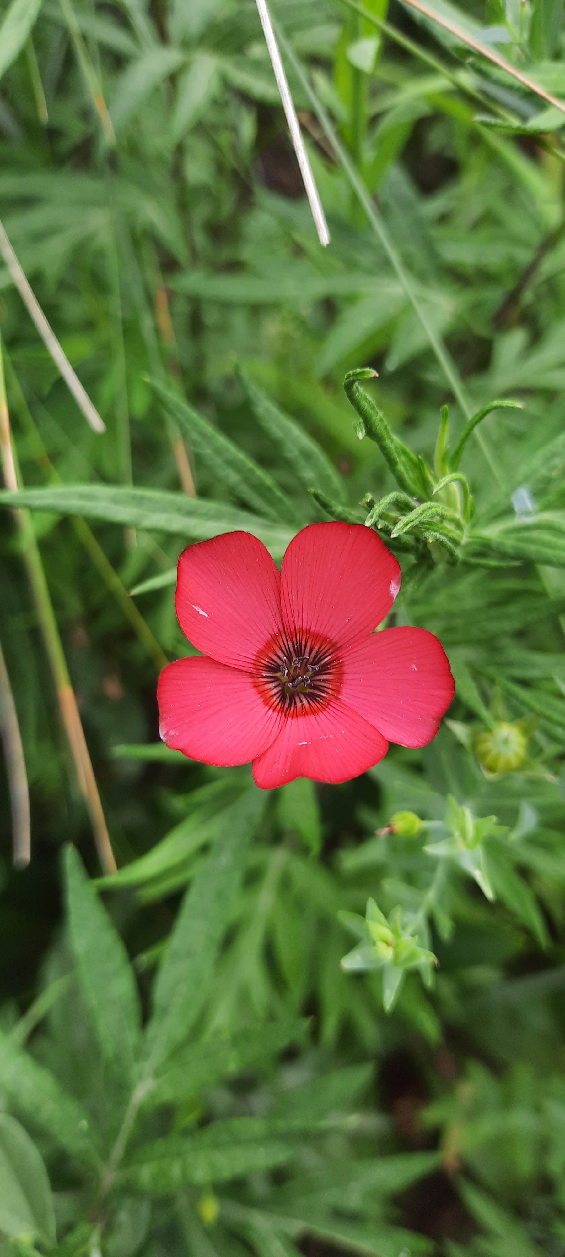 Photo n° 25 de l'avis de Follow.e fait le 28/07/2021 à 17:27