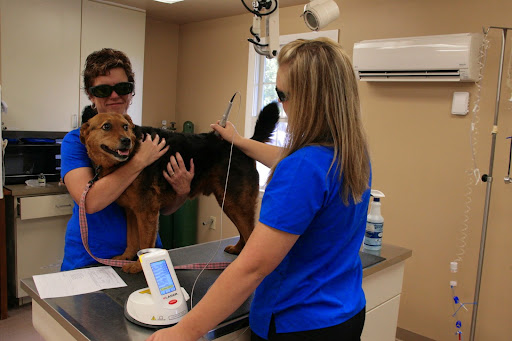 Animal Medical Services image