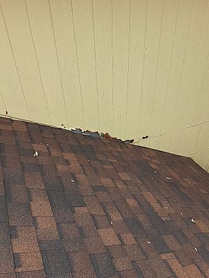 Roofing Contractor «Bert Roofing Inc.», reviews and photos, 10021 Cayuga Dr, Dallas, TX 75228, USA