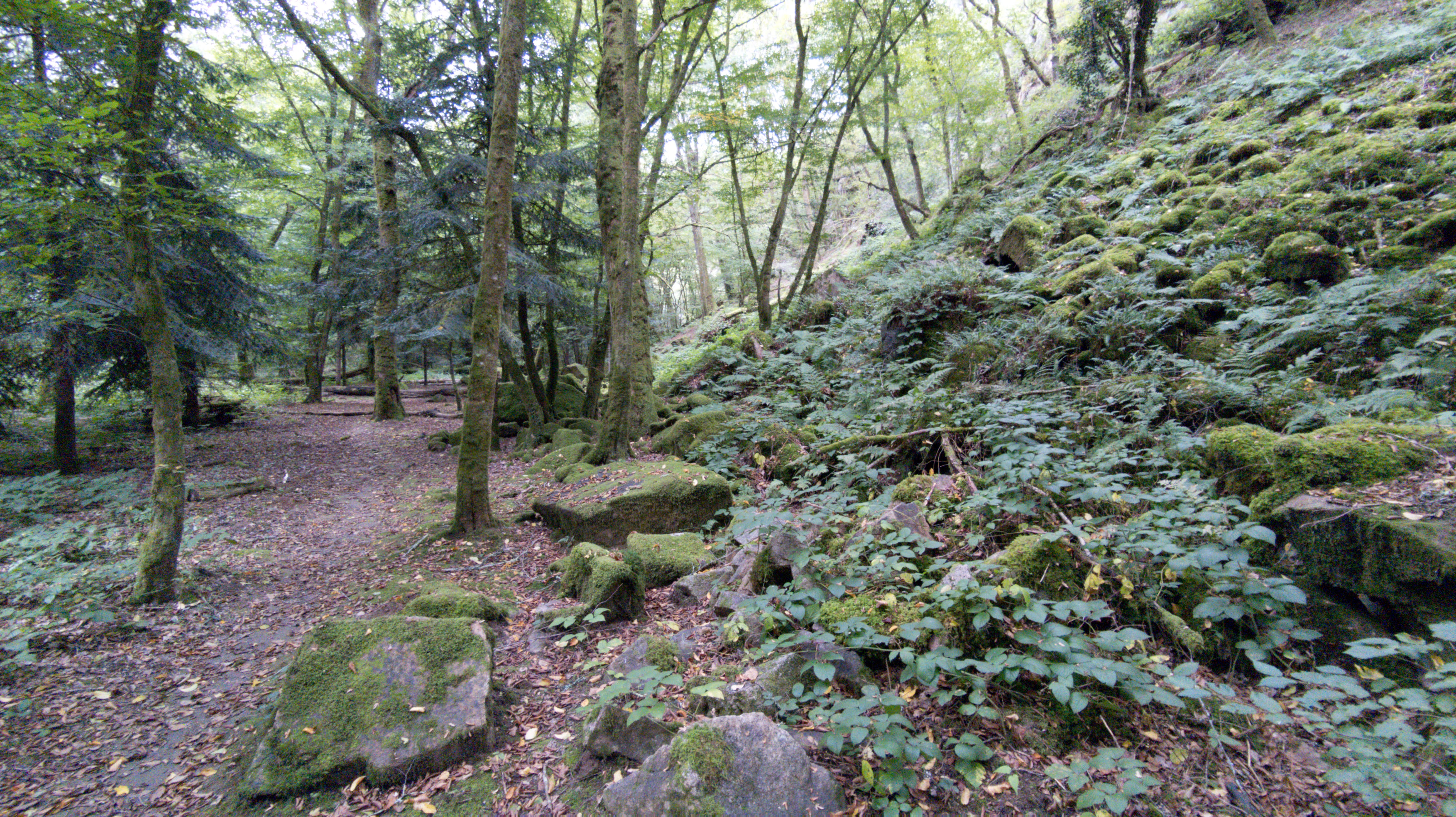 Photo n° 13 de l'avis de Raph. fait le 04/10/2021 à 19:43