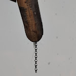 Photo n°6 de l'avis de Elisabetta.a fait le 12/12/2021 à 18:34 sur le  Malga Roncac à Moena