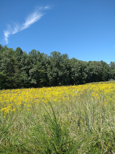 Battle Site «Spotsylvania Court House Battlefield», reviews and photos, 9550 Grant Dr, Spotsylvania, VA 22553, USA