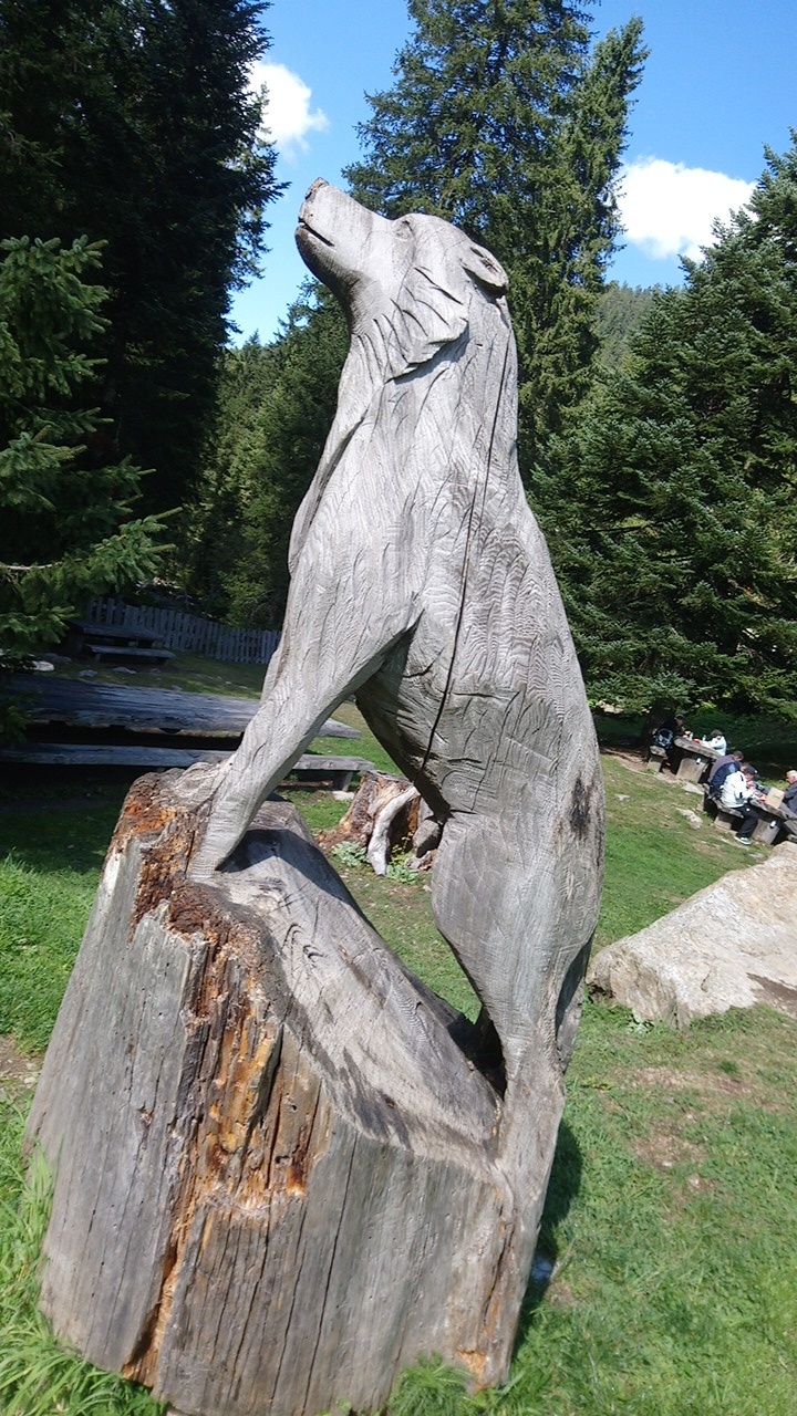 Photo n° 2 de l'avis de Valentine.a fait le 14/09/2019 à 16:11