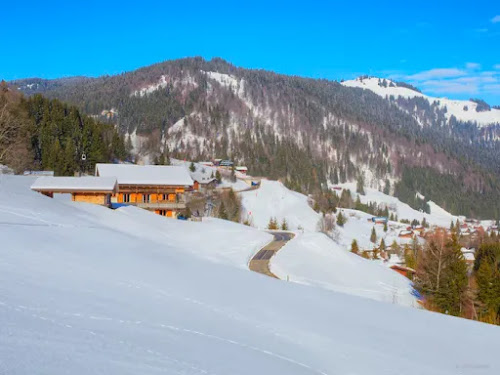 Authentic Lodge Spa - Snow Lodge à La Clusaz