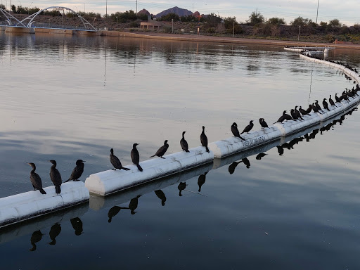 Park «Rio Salado Park», reviews and photos, 80 West Rio Salado Parkway, Tempe, AZ 85281, USA