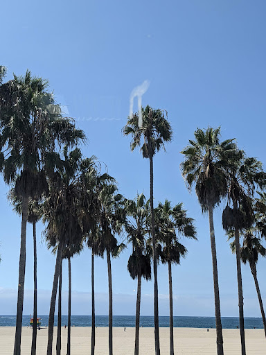 Stay Open Venice Beach image