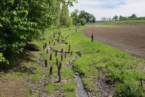 Agence environnementale Dervenn Génie-Ecologique Péaule